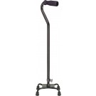 Patient Mobility