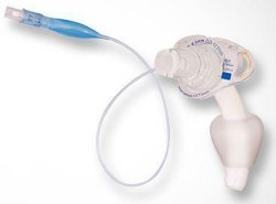 Respiratory