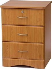 Hospital Beds and Stretchers