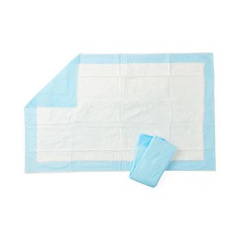 Protection Plus Underpad, Light Absorbency, 17" x 24", Blue, Quilted