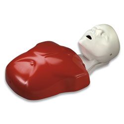 Life/form® Basic Buddy Single CPR Manikin