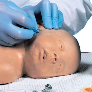 Life/form Pediatric Head