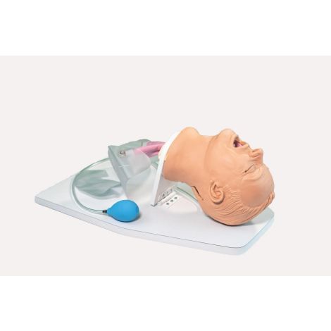 Airway Larry Adult Airway Management Trainer 