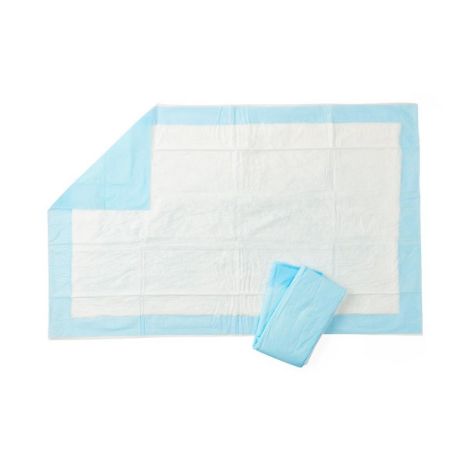 Protection Plus Underpad, Light Absorbency, 17" x 24", Blue, Quilted