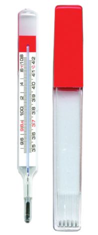 Rectal Thermometer Non-Mercury