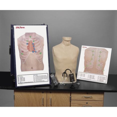 Deluxe Life/form® Auscultation Training Station 
