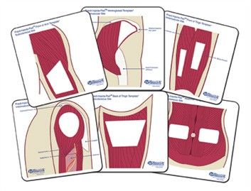 Practi-Anatomical Templates™ (Color)