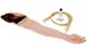 Advanced Venipuncture and Injection Arm Skin and Vein Replacement Kit 